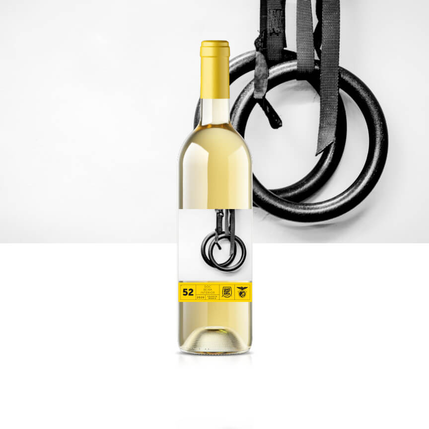 White Wine Harvest 2020 DOC Beira Interior