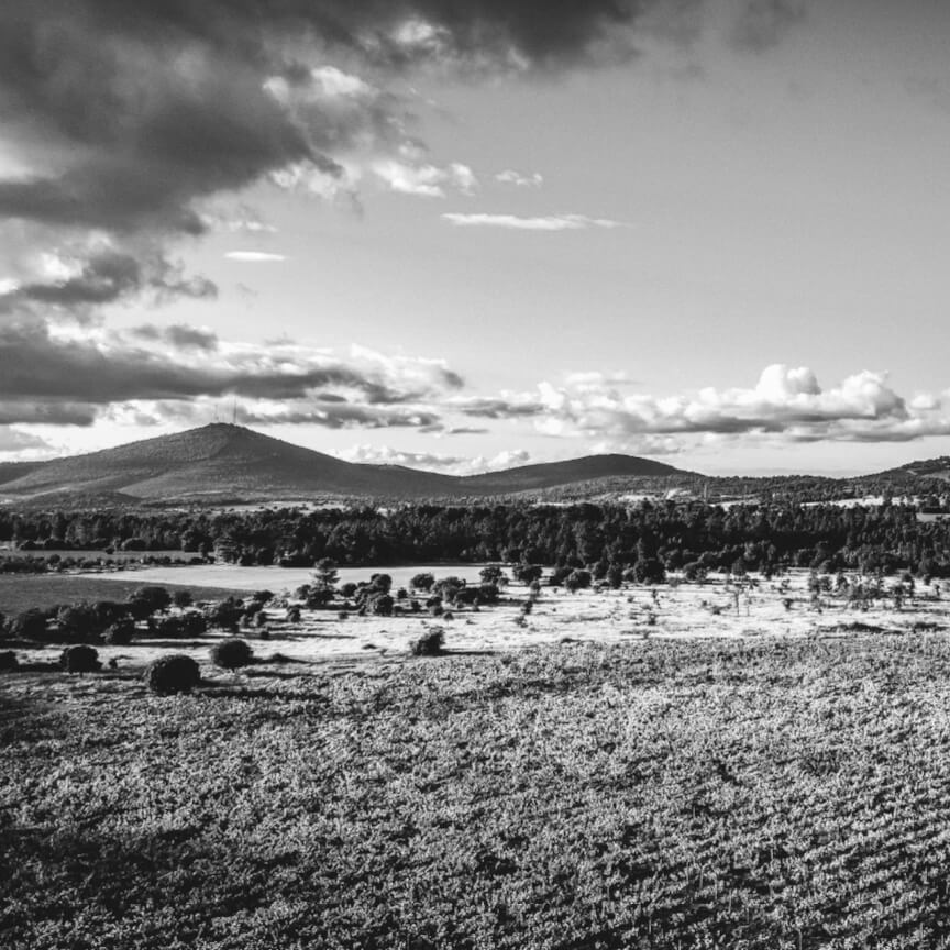 Red Wine Reserve 2020 DOC Terras das Beiras