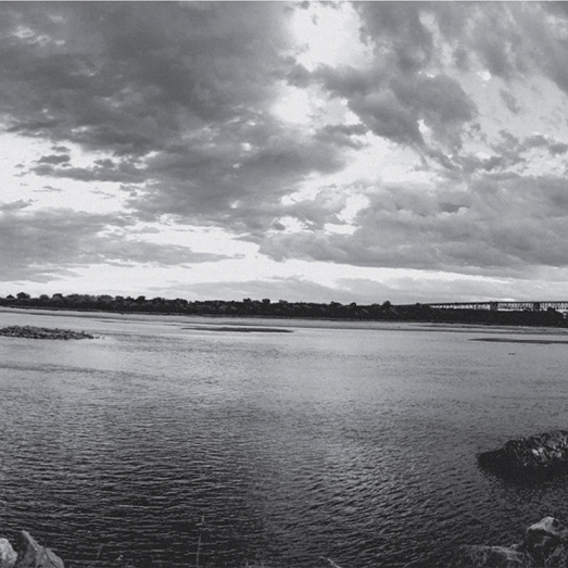 Reserve White Wine 2021 Tejo