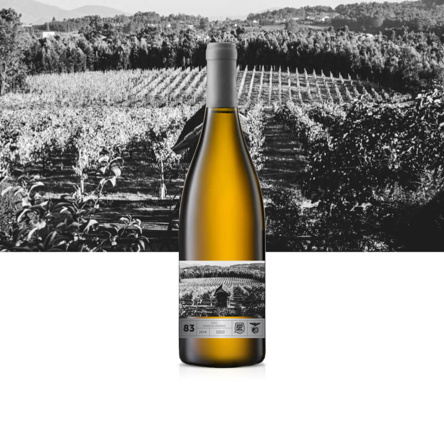 Reserve White Wine 2019 Vinhos Verdes