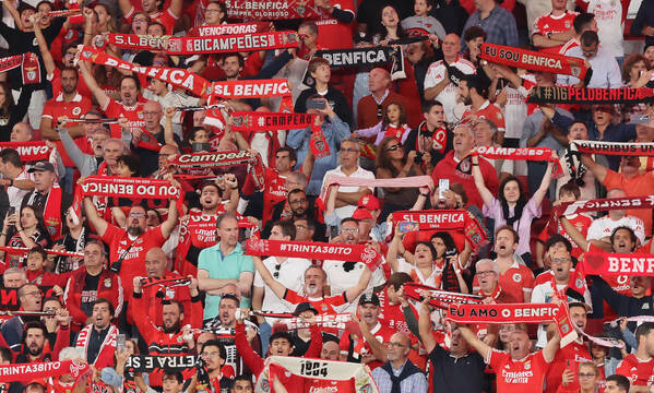 Benfica Fans