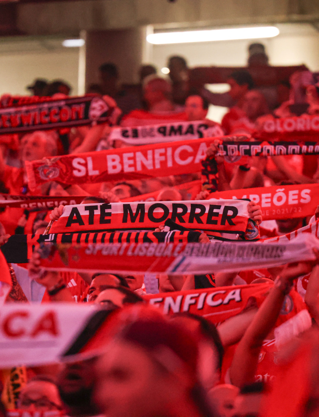 Supporters à l'Estádio da Luz
