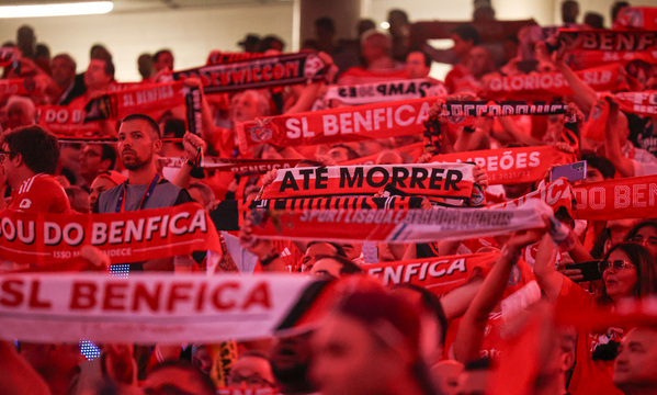 Supporters à l'Estádio da Luz