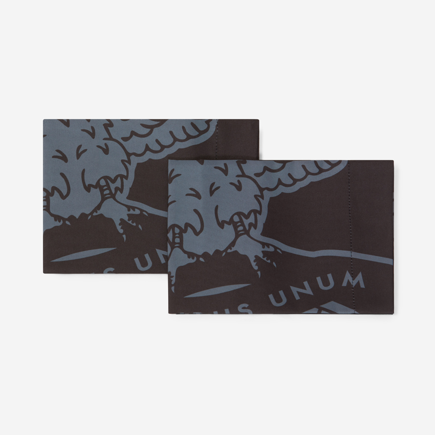 Set of Black Cushion Pillowcases with SL Benfica Emblem