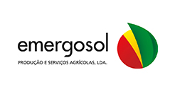 Corporate Members: Emergosol