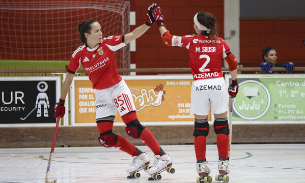 Women's roller hockey