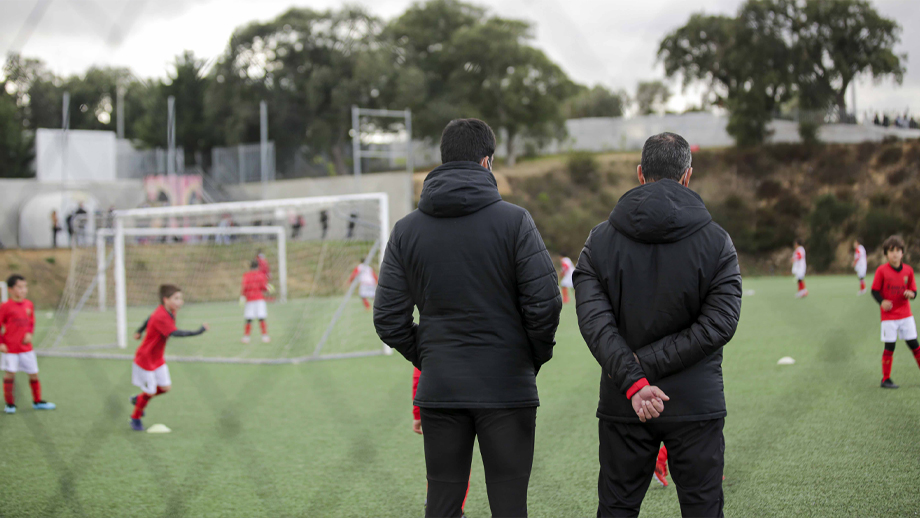 Scouting Network (Desktop)