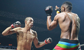 SL Benfica Other Sports: Combat Sports: MMA