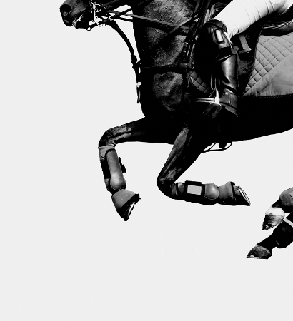 Equestrian