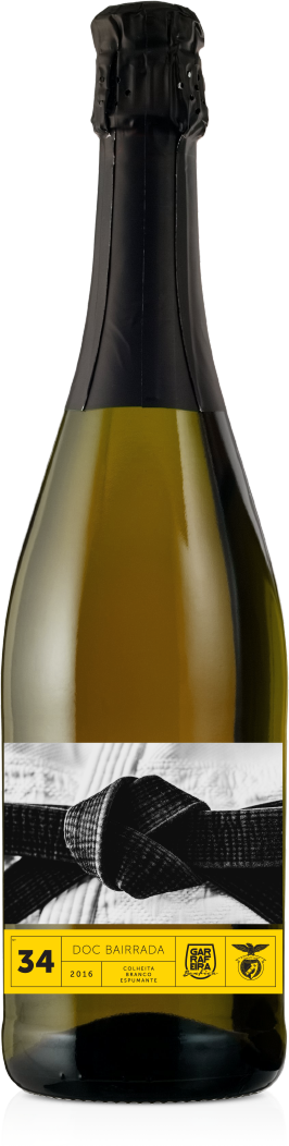 secondary left image